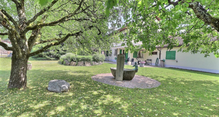 Magnifique maison individuelle en viager occupé sans rente avec vue sur le Jura image 4