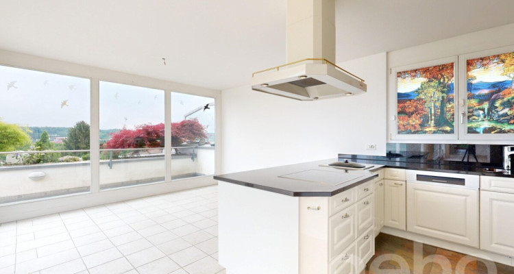 Terrassenhaus mit Blick über Bremgarten image 3