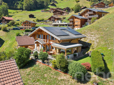 Chalet de charme + loft indépendant - vue sur les Dents du Midi image 1