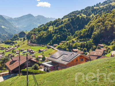 Chalet de charme + loft indépendant - vue sur les Dents du Midi image 3