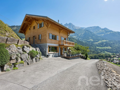 Chalet de charme + loft indépendant - vue sur les Dents du Midi image 4