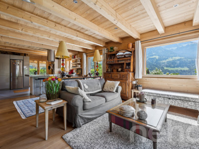 Chalet de charme + loft indépendant - vue sur les Dents du Midi image 5