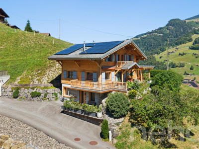 Chalet de charme + loft indépendant - vue sur les Dents du Midi image 12