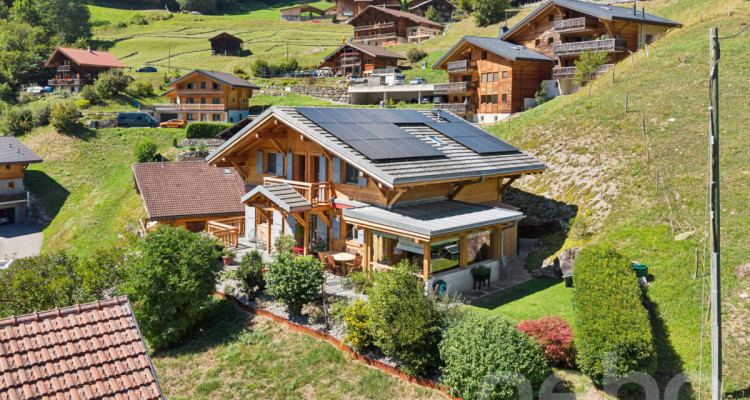 Chalet de charme + loft indépendant - vue sur les Dents du Midi image 1