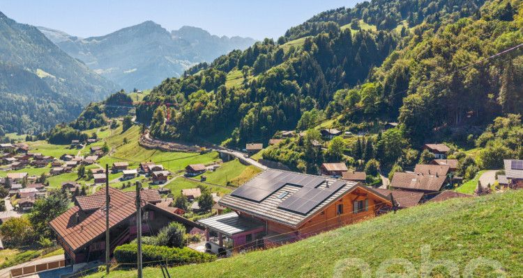 Chalet de charme + loft indépendant - vue sur les Dents du Midi image 3