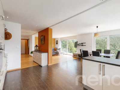 Magnifique propriété avec vue panoramique à Mase image 7