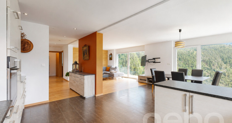 Magnifique propriété avec vue panoramique à Mase image 7