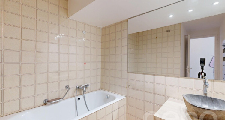 Dans le centre des Eaux-Vives image 11
