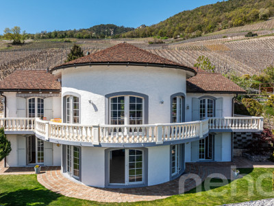 Villa dexception - Vue panoramique - 3 logements image 2