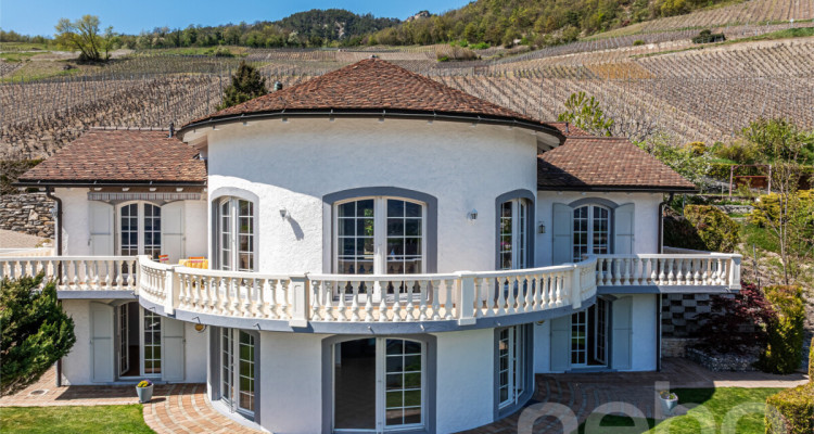 Villa dexception - Vue panoramique - 3 logements image 2