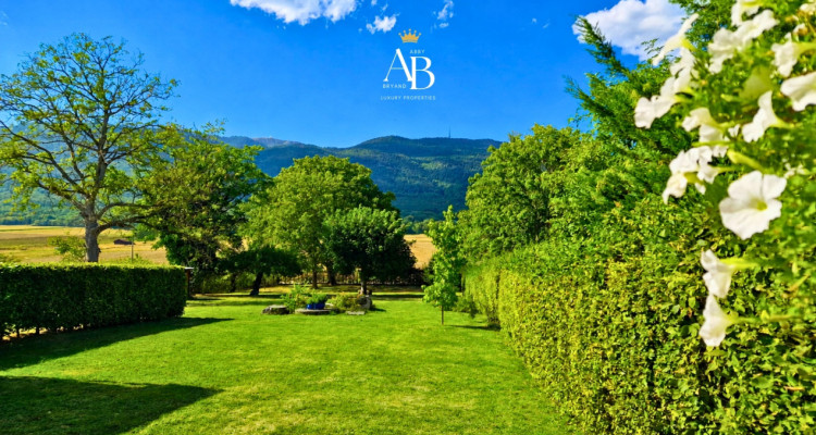 En exclusivité : Authentique Maison villageoise  image 8