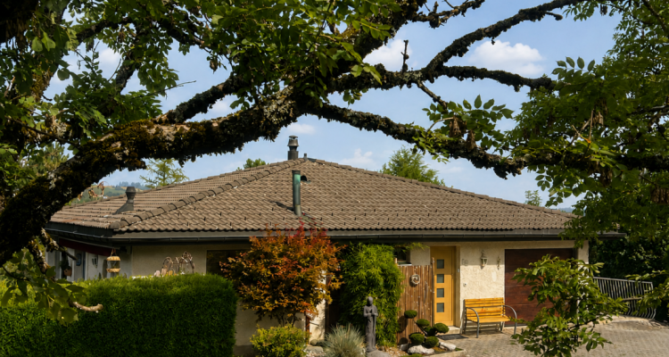 Maison individuelle aux volumes généreux, dans un écrin de verdure image 2