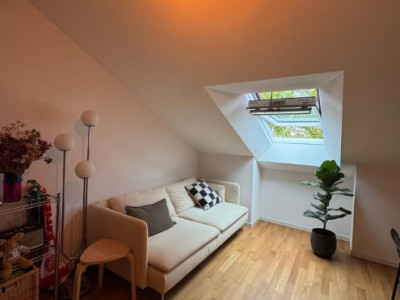 Superbe studio spacieux de 44m2, en plein centre  image 1