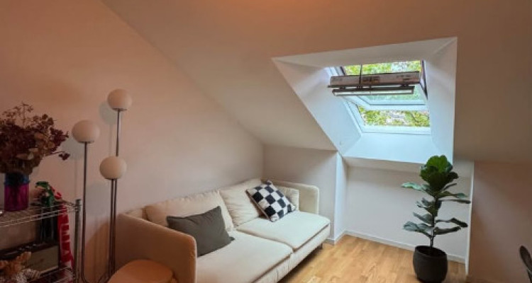 Superbe studio spacieux de 44m2, en plein centre  image 1