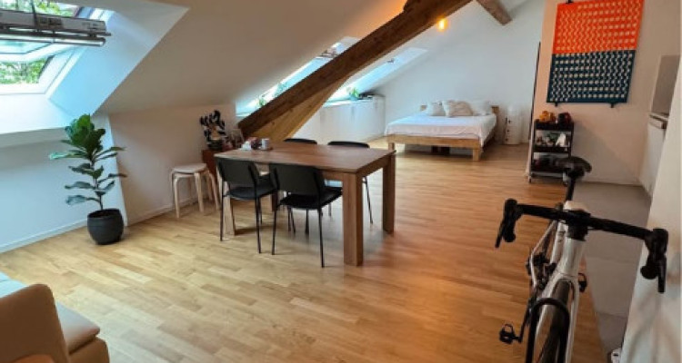 Superbe studio spacieux de 44m2, en plein centre  image 3