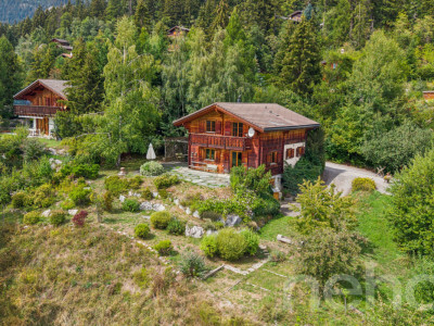 Charmant Chalet avec grand terrain et vue dégagée à Arbaz image 1