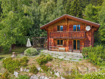 Charmant Chalet avec grand terrain et vue dégagée à Arbaz image 3