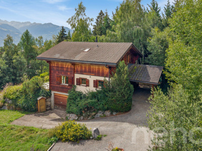 Charmant Chalet avec grand terrain et vue dégagée à Arbaz image 4