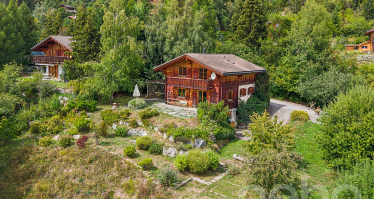 Charmant Chalet avec grand terrain et vue dégagée à Arbaz image 1