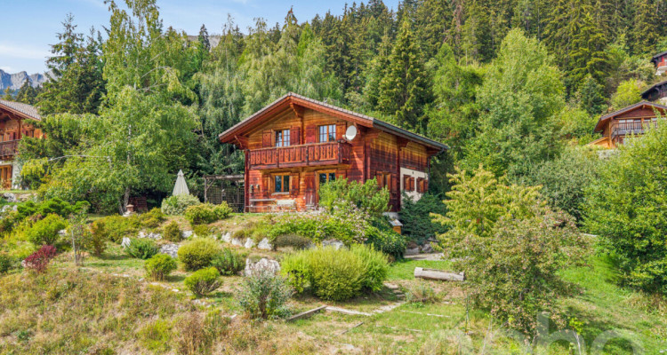 Charmant Chalet avec grand terrain et vue dégagée à Arbaz image 2