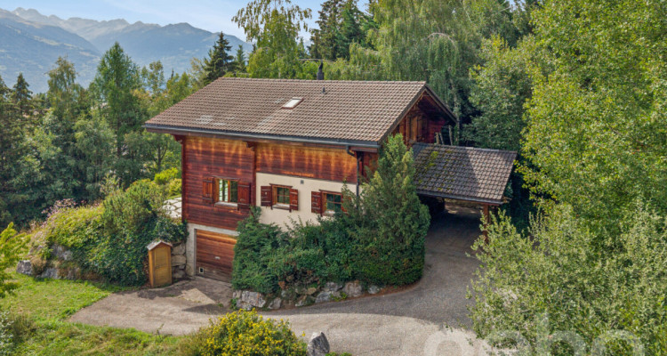 Charmant Chalet avec grand terrain et vue dégagée à Arbaz image 4