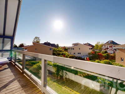 Triplex dexception de 6,5 pièces avec sauna et jardin image 5