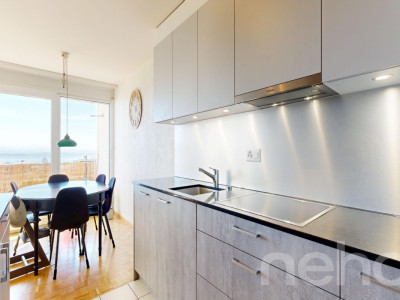 Libre de suite : Bel appartement avec sa vue sur le lac ! image 4