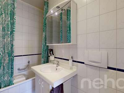Libre de suite : Bel appartement avec sa vue sur le lac ! image 11