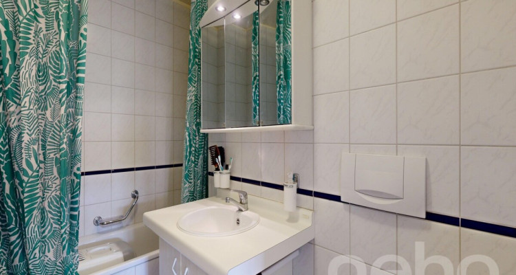 Libre de suite : Bel appartement avec sa vue sur le lac ! image 11