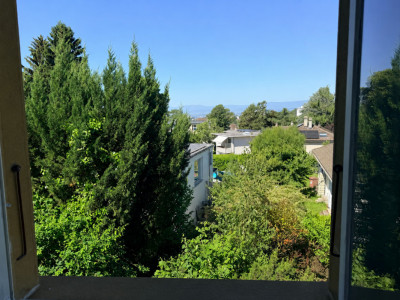 En exclusivité - Chailly - Maison de caractère dans un écrin de verdure poétique image 11
