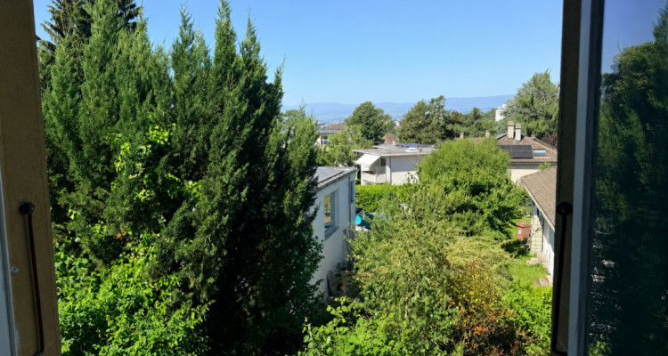 En exclusivité - Chailly - Maison de caractère dans un écrin de verdure poétique image 11