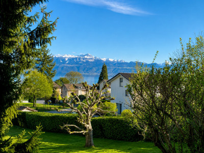 Magnifique 2 pièce meublé avec terrasse de 57m2 à deux min du lac/St-Sulpice VD image 2