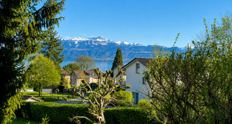 Magnifique 2 pièce meublé avec terrasse de 57m2 à deux min du lac/St-Sulpice VD image 2