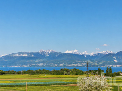 À 5 min de Rolle et de Gland, maison familiale, vue lac et Alpes image 11