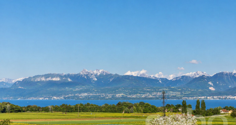 À 5 min de Rolle et de Gland, maison familiale, vue lac et Alpes image 11