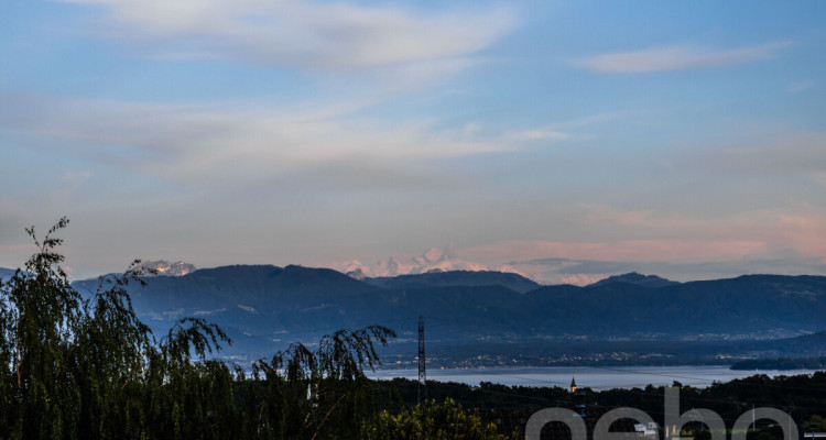 À 5 min de Rolle et de Gland, maison familiale, vue lac et Alpes image 12