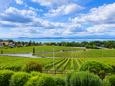 Maison en viager occupé sans rente avec vue sur le Lac de Neuchâtel image 1