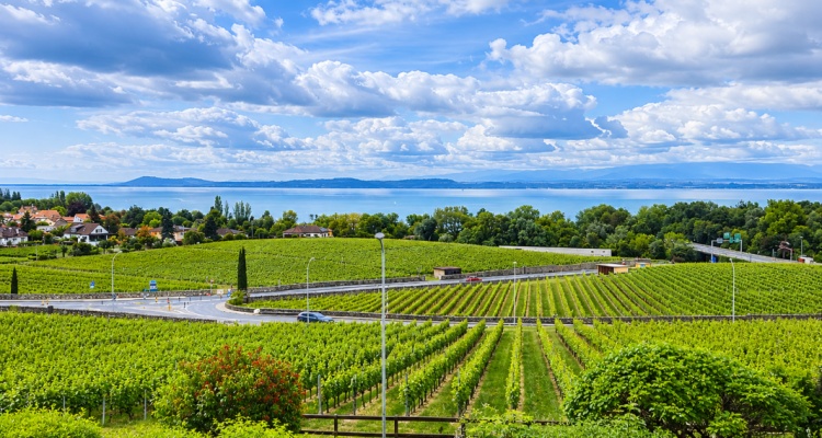Maison en viager occupé sans rente avec vue sur le Lac de Neuchâtel image 1