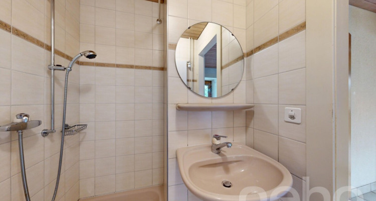 5.5-Zimmer-Einfamilienhaus mit grossem Grundstück und viel Potenzial image 10