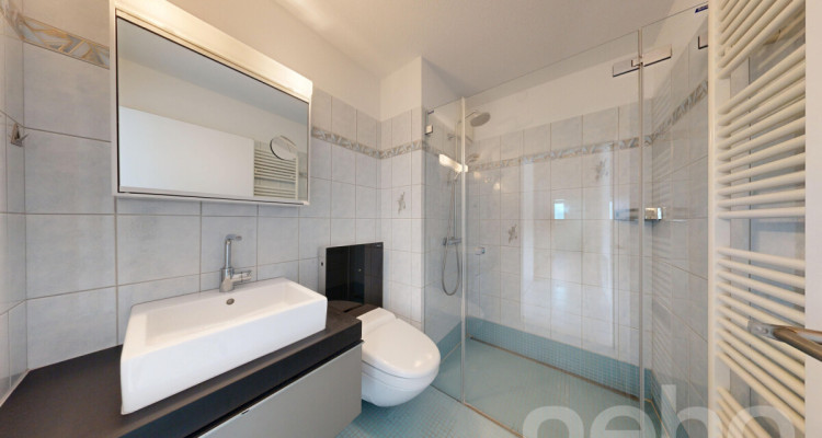 Sonnige 5.5-Zimmer-Attikawohnung in Winterthur image 5