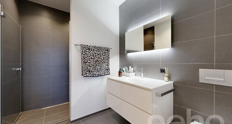 Wohnen mit Weitblick ? 4.5-Zimmer-Terrassenwohnung mit Doppelgarage image 7