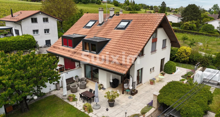 Set of 2 beautiful villas in Bernex image 1