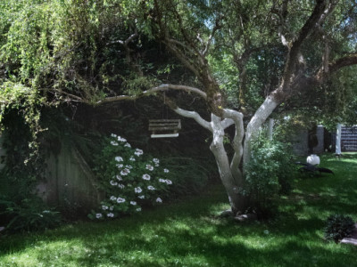 Vie de famille et vie professionnelle dans votre Loft avec jardin image 10