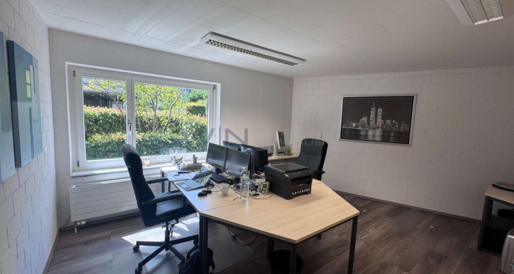 Perspektivenwechsel: Stilvolles Arbeiten im Grünen image 2