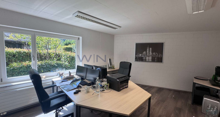 Perspektivenwechsel: Stilvolles Arbeiten im Grünen image 7