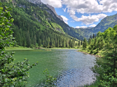 Urlaubsfeeling pur: Sonnig und modern image 7