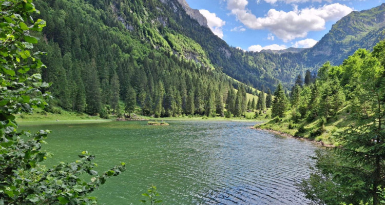 Urlaubsfeeling pur: Sonnig und modern image 7