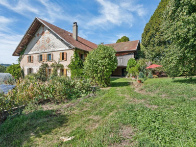 Ferme de caractère de 10.5 pièces avec grand terrain et fort potentiel image 9