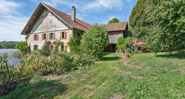 Ferme de caractère de 10.5 pièces avec grand terrain et fort potentiel image 9
