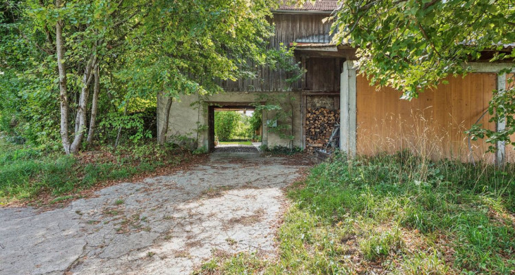 Ferme de caractère de 10.5 pièces avec grand terrain et fort potentiel image 10